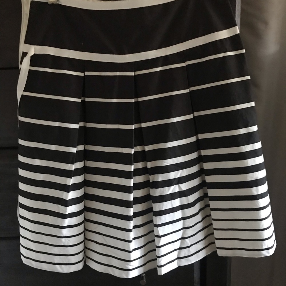 A Line Pleated Striped Skirt